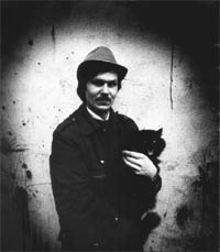 Любимые кошечки II фотохудожника Павла Васильева